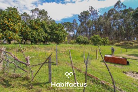 Quinta para venda em Tondela