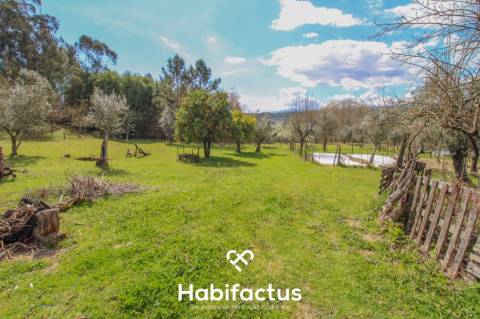 Quinta para venda em Tondela