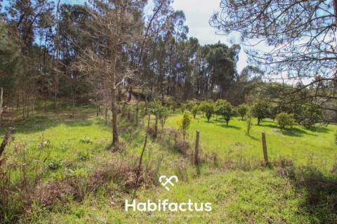 Quinta para venda em Tondela