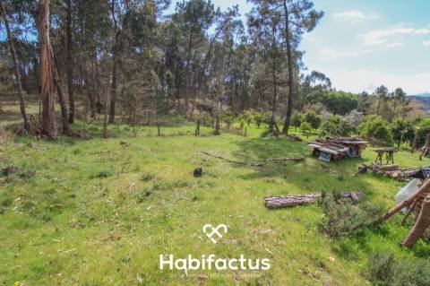 Quinta para venda em Tondela