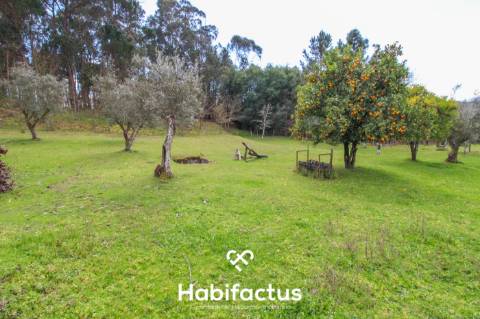 Quinta para venda em Tondela
