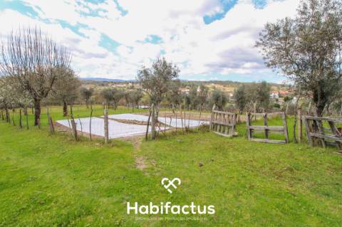 Quinta para venda em Tondela