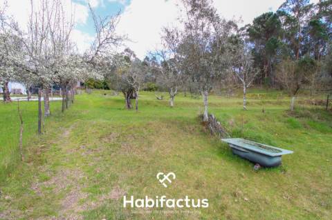 Quinta para venda em Tondela