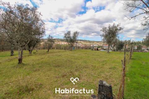 Quinta para venda em Tondela