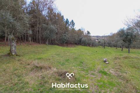 Quinta para venda em Tondela