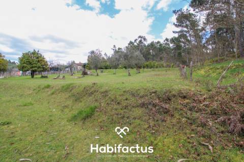 Quinta para venda em Tondela