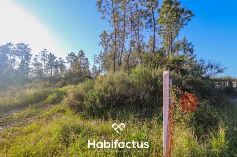 Terreno rústico com uma área de 9.587 m2 para construção em Viseu.