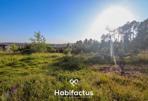 Terreno rústico com uma área de 9.587 m2 para construção em Viseu.