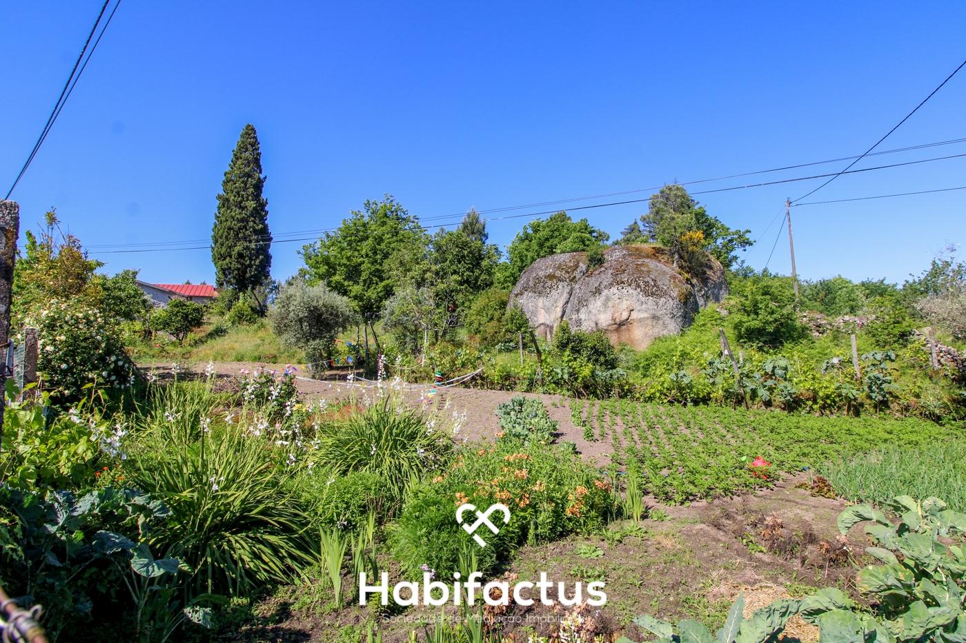 Terreno para Construção, em Bodiosa Nova, Viseu