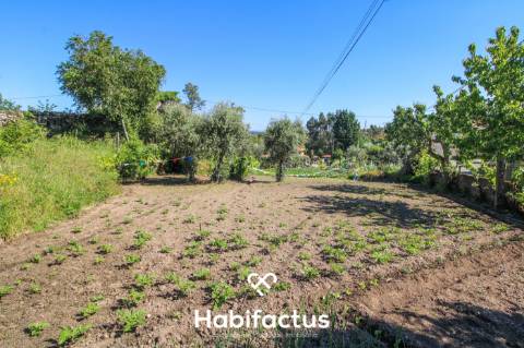 Terreno para construção em Póvoa de Bodiosa
