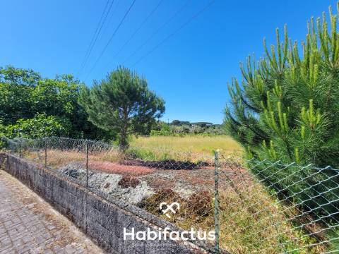 Terreno Rústico com Viabilidade de Construção no Centro da Vila de Nelas – Oportunidade Única!