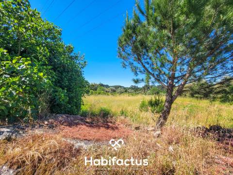 Terreno Rústico com Viabilidade de Construção no Centro da Vila de Nelas – Oportunidade Única!