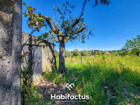 Terreno Rústico com Viabilidade de Construção no Centro da Vila de Nelas – Oportunidade Única!