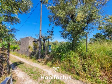 Terreno Rústico com Viabilidade de Construção no Centro da Vila de Nelas – Oportunidade Única!