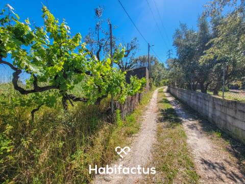 Terreno Rústico com Viabilidade de Construção no Centro da Vila de Nelas – Oportunidade Única!
