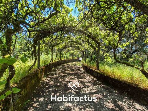 Moradia Isolada Próxima ao Centro de Viseu