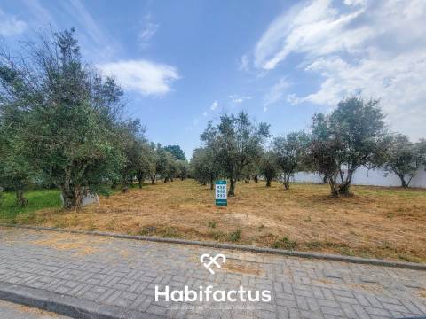 Terreno Rústico  Venda em Canas de Senhorim,Nelas