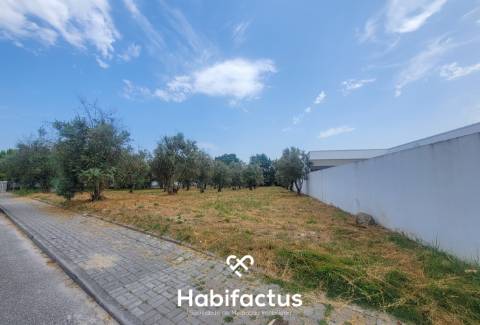 Terreno Rústico  Venda em Canas de Senhorim,Nelas