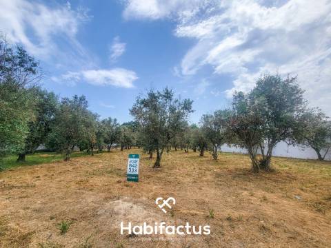 Terreno Rústico  Venda em Canas de Senhorim,Nelas