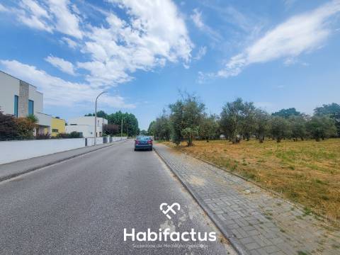 Terreno Rústico  Venda em Canas de Senhorim,Nelas