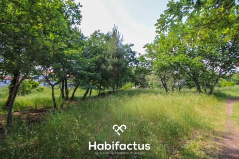 Terreno rústico com 10 898 m2 em Gumirães, Viseu.