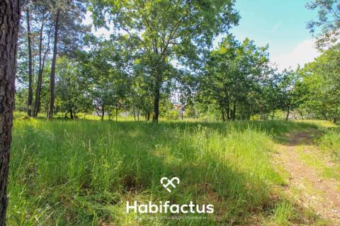 Terreno rústico com 10 898 m2 em Gumirães, Viseu.