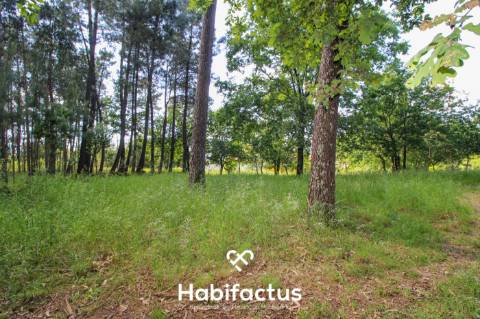 Terreno rústico com 10 898 m2 em Gumirães, Viseu.