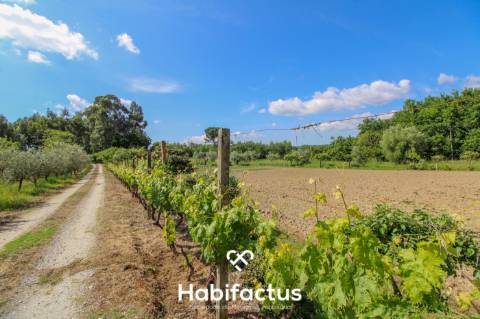 Terreno rústico com 10 898 m2 em Gumirães, Viseu.