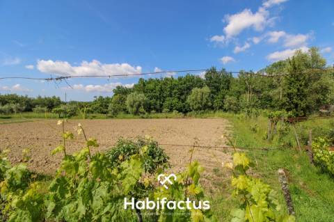 Terreno rústico com 10 898 m2 em Gumirães, Viseu.