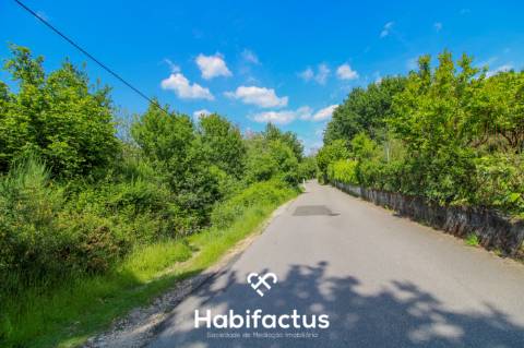 Terreno rústico com 10 898 m2 em Gumirães, Viseu.