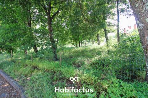 Terreno rústico com 10 898 m2 em Gumirães, Viseu.