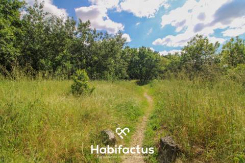 Terreno rústico com 10 898 m2 em Gumirães, Viseu.