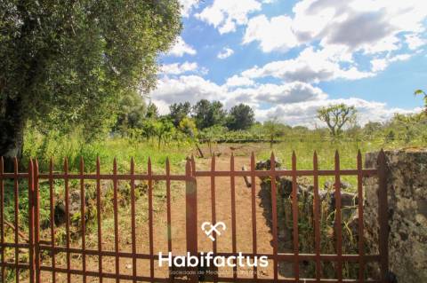 Terreno rústico com 10 898 m2 em Gumirães, Viseu.