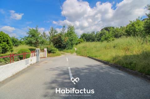 Terreno rústico com 10 898 m2 em Gumirães, Viseu.