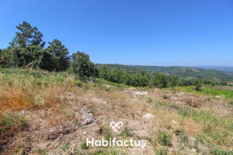 Quinta de Sonho a 15 Minutos de Viseu