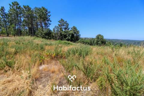 Quinta de Sonho a 15 Minutos de Viseu