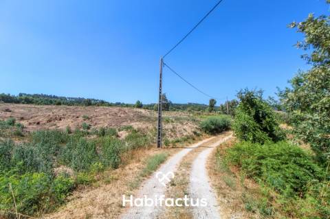 Quinta de Sonho a 15 Minutos de Viseu