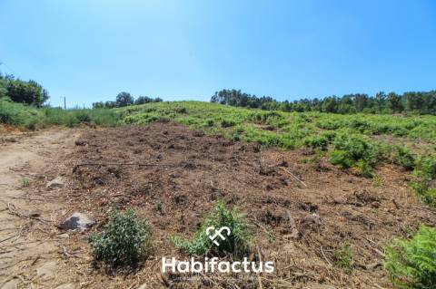 Quinta de Sonho a 15 Minutos de Viseu