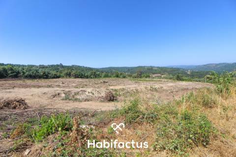 Quinta de Sonho a 15 Minutos de Viseu