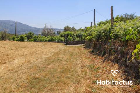 Quintinha T3 A 5 minutos das Termas de  S. Pedro do Sul