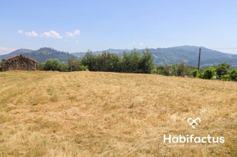 Quintinha T3 A 5 minutos das Termas de  S. Pedro do Sul