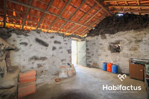 Quintinha T3 A 5 minutos das Termas de  S. Pedro do Sul