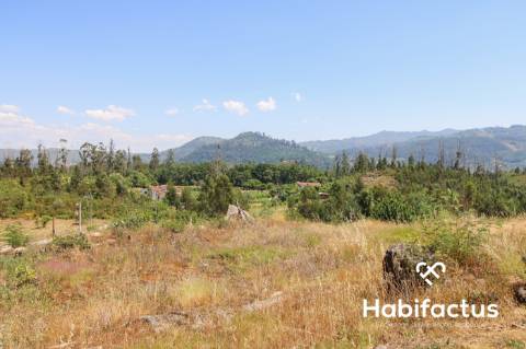 Quintinha T3 A 5 minutos das Termas de  S. Pedro do Sul