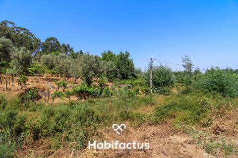 Quinta com Vinha e Potencial de Habitação em Sabugosa – Tondela