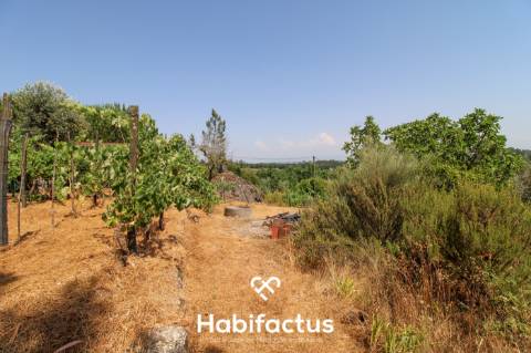 Quinta com Vinha e Potencial de Habitação em Sabugosa – Tondela