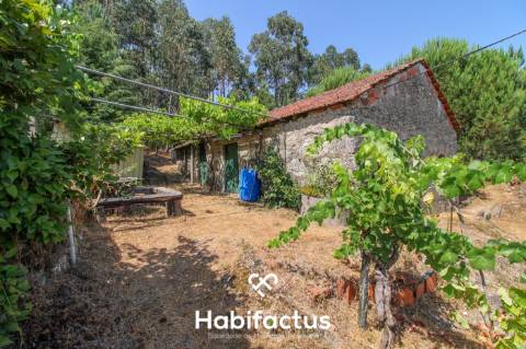 Quinta com Vinha e Potencial de Habitação em Sabugosa – Tondela
