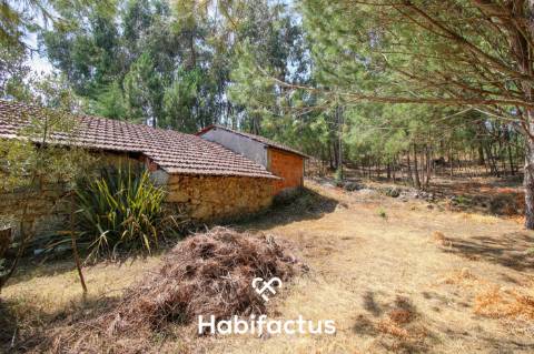 Quinta com Vinha e Potencial de Habitação em Sabugosa – Tondela