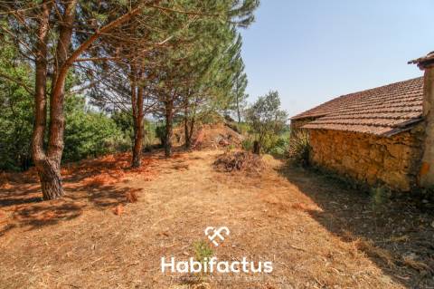 Quinta com Vinha e Potencial de Habitação em Sabugosa – Tondela