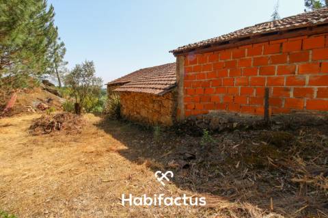 Quinta com Vinha e Potencial de Habitação em Sabugosa – Tondela