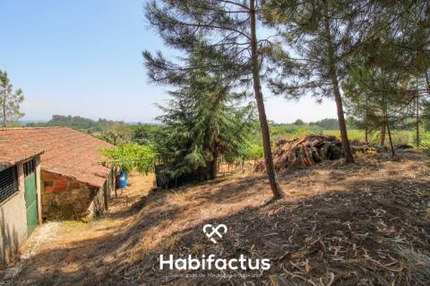 Quinta com Vinha e Potencial de Habitação em Sabugosa – Tondela